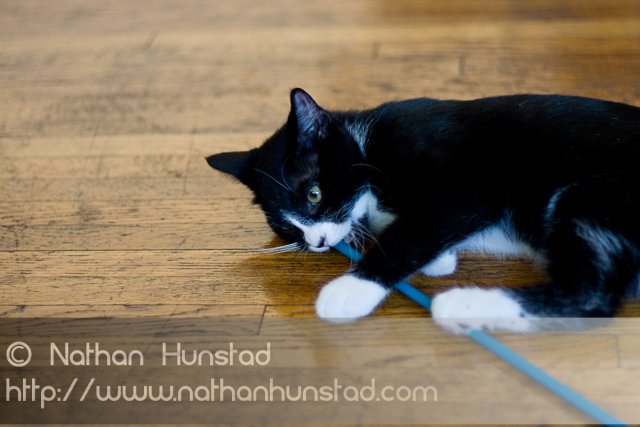 Misha_2008-08-06_IMG_1008